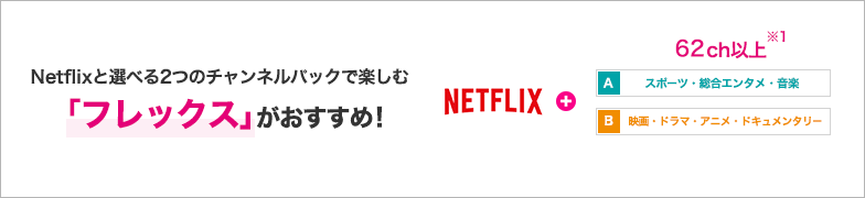 Netflixと選べる2つのチャンネルパックで楽しむ 「フレックス」がおすすめ！ NETFLIX+ A スポーツ・総合エンタメ・音楽 58ch以上 B 映画・ドラマ・アニメ・ドキュメンタリー